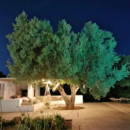 Trullo Melograno By Tripostuni *