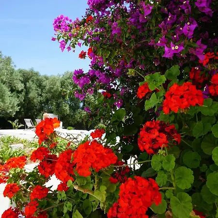 Trullo Melograno By Tripostuni Ostuni